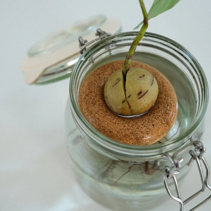 Bouée avocat